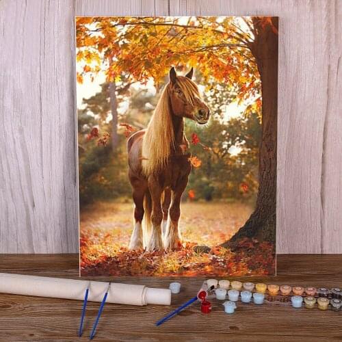 Test Diy Paint By Numbers Kit Acrylic 50*70 Painting Crafts Adults Drawing Coloring By Numbers Painting Art