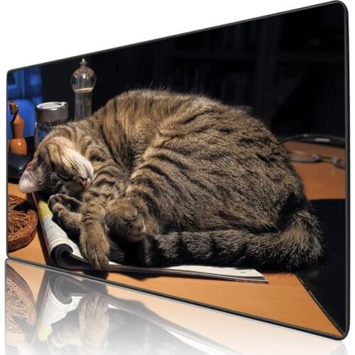 XGZ Please don't wake up a sleeping cat Gaming Mousepad Gamer Lock Ege Personalized Table Pc keybard Mat HD Printing Customzable