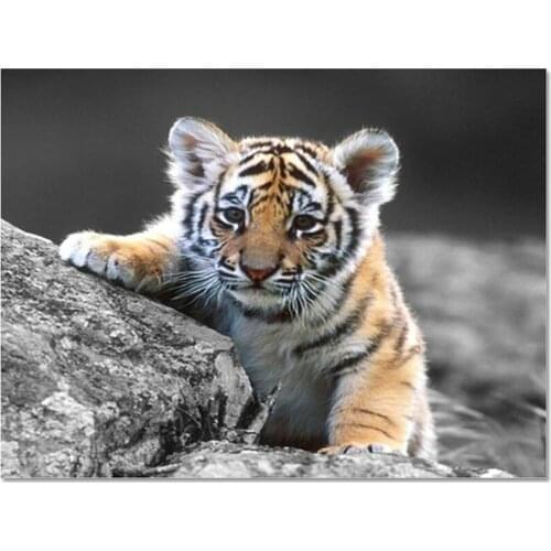 3D DIY Diamond Painting Small Tiger Diamond Embroidery Needlework Square Fashion Home Decor Cross Stitch Painting