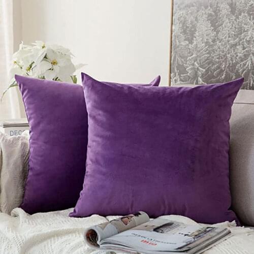 Purple Velvet Soft Solid Decorative Square Throw Pillow Covers Set Cushion Cases Pillowcases for Sofa Bedroom 2 Packs