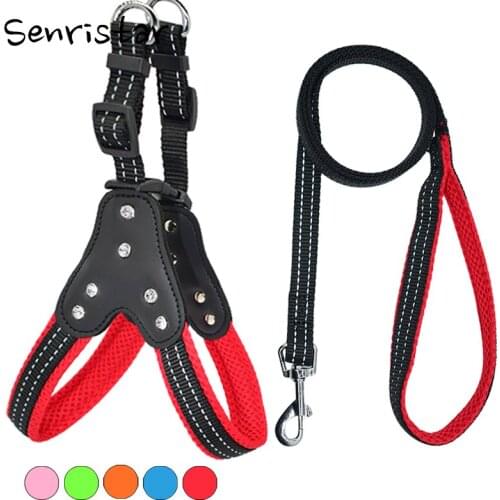 Senristar Harnesses