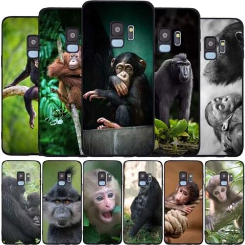 Monkey Gorilla Ape Baby black Soft phone Case For Samsung S20 S10 S9 S8 S7 edge Plus Lite Note 8 9 10 A6 A7 A8 A9 2018 Cover