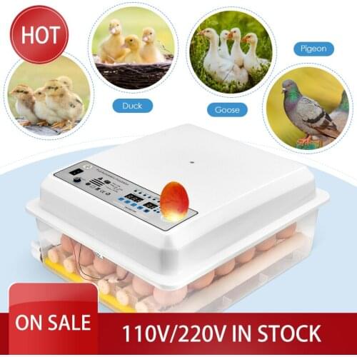 36 Eggs Incubator Automatic Hatchery Machine Digital Display Humidity Control Birds Brooder Thermostat Breeding Hat Chicken Eggs