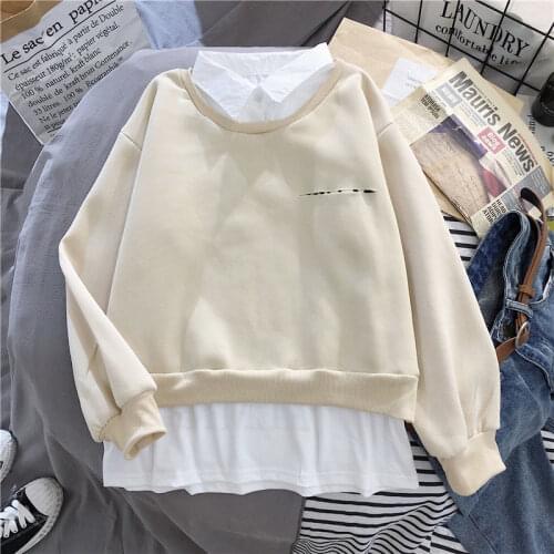 Winter oversize korean style harajuku hoodie long sleeve streetwear sweatshirt women plus size tops Pullovers Casual clothing