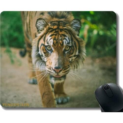 Mouse Pad,Tiger Predator Muzzle Big Cat 104955 Gaming Mouse Mat