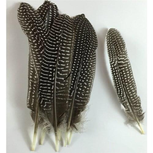 Wholesale 15-20CM 6-8 " Beautiful Natural Pearl Chicken Spotted Feathers for Crafts Clothing Decorations Pheasant Feather Plumes