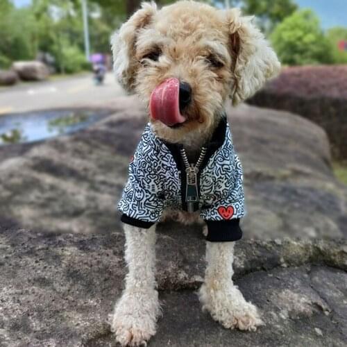 Luxury design Pet dogs Clothes pets Graffiti pattern jacket For Small Dogs Puppy Cat Costumes French Bulldog Bichon Clothing