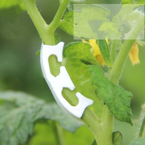 50pcs! Plastic plant clips anti-bending tomatoes Branch Fixing garden fruit Vine Connects Supporting Plant Stems Grow Upright