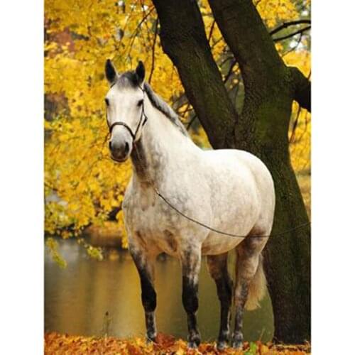Diamond Painting 5D DIY Square/Round Diamond Animal Painting Under the Tree White Horse Beautiful Scenery Picture Cross TX654
