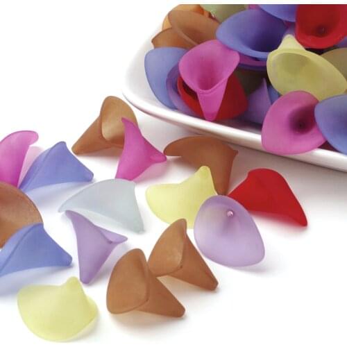 Jewelry Beads Mixed Color Transparent Frosted Acrylic Beads,Flower,about 19mm wide,21mm long,hole:1mm