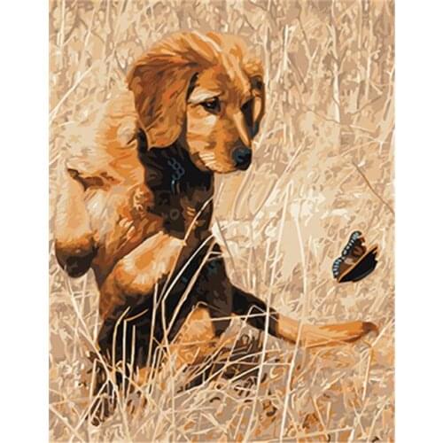 DRAWJOY Painting Paints