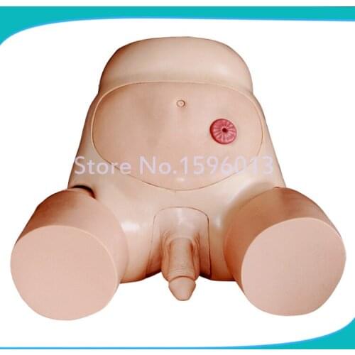 Economic Male Urethral Catheterization Simulator, Catheterization Trainer