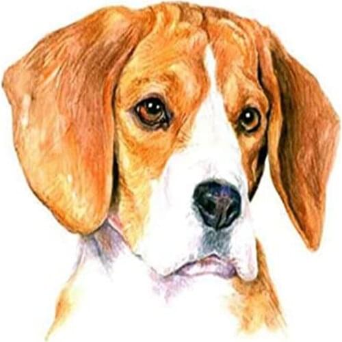Animal Dog Beagle DIY Cross Stitch 11CT Embroidery Kits Needlework Craft Set Printed Canvas Cotton Thread Home Dropshipping