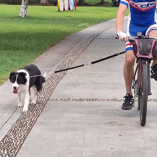 Dog Bicycle Traction Belt Rope Pet Walk Run Jogging Distance Keeper Hand Free Pets Leash Nylon elastic Dog Leash Bike Attachment