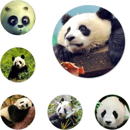 58mm Cute Asian Baby Panda Icons Pins Badge Decoration Brooches Metal Badges For Clothes Backpack Decoration