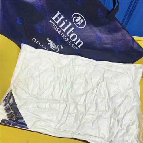 Hot sale 2PCS/Lot New Super soft pillow. Hotel pillows. Household pillows. Solid color pillows.Manufacturer sales.48x74cm