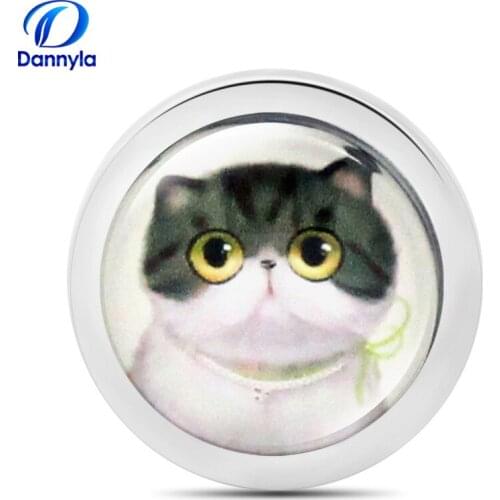 Wholesale 1pc/lot 33mm My Moneda Glass Coin Fit 35mm Coin Frame MICO106-260