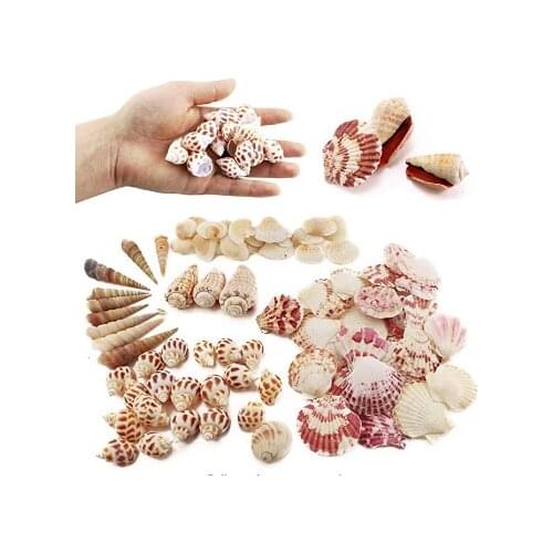 100 pcs Sea Shells Mixed Ocean Seashells Various Sizes Fish Tank Home Decorations Beach Theme Party Candle Making Wedding Decor