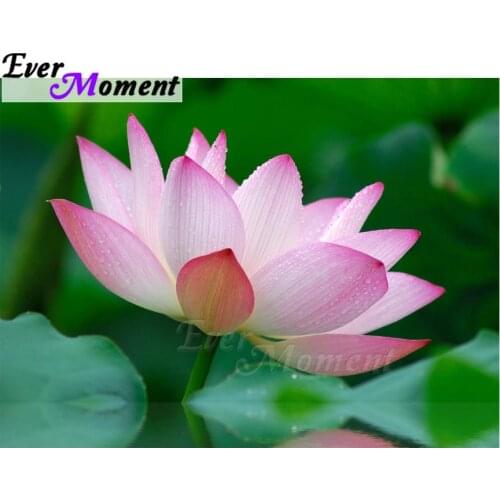 Ever Moment Diamond Painting Full Square Handmade Lotus Home Decoration For Home Diamond Embroidery Flower Mosaic ASF1370