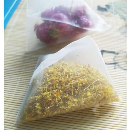 Nylon Tea Filter Bag Transparent Bags Empty Pyramid Tea Bag Heat Sealed 1000pcs/lot
