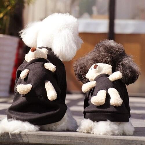 Cat and dog pet clothes puppies autumn cute sweater cats and dogs cute teddy bear sweater two-legged clothes