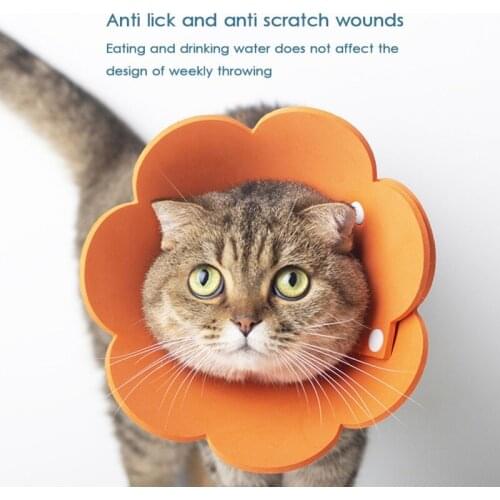 Flower Cat Elizabeth Collar Wound Healing Recovery Collar Protect Cone Flower Pet Collar Pet Products