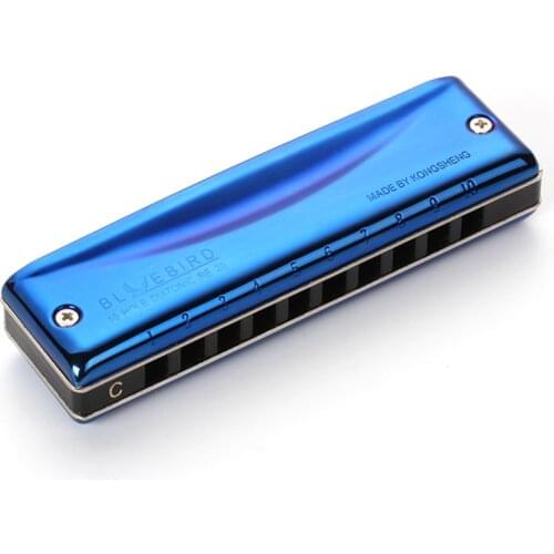 High Quality Professional 10-hole Blues Harmonica Performance Mouth Organ Musical Instrument