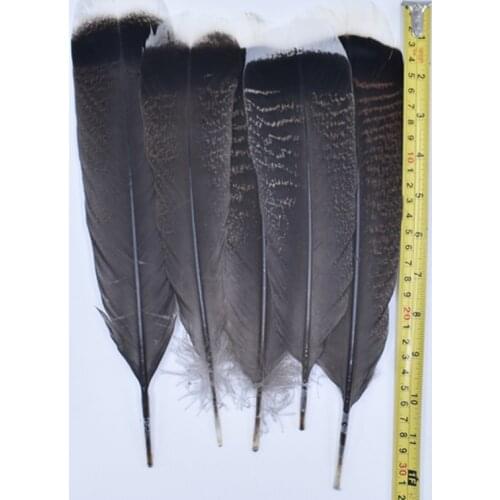 10Pcs/Lot Natural Eagle Bird Feather 25-30cm Selected Prime Quality Eagle Feathers for Decoration Diy Handicraft Accessories