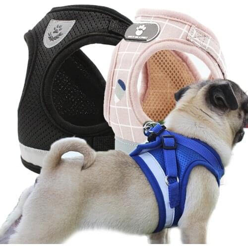 Xzhan Harnesses