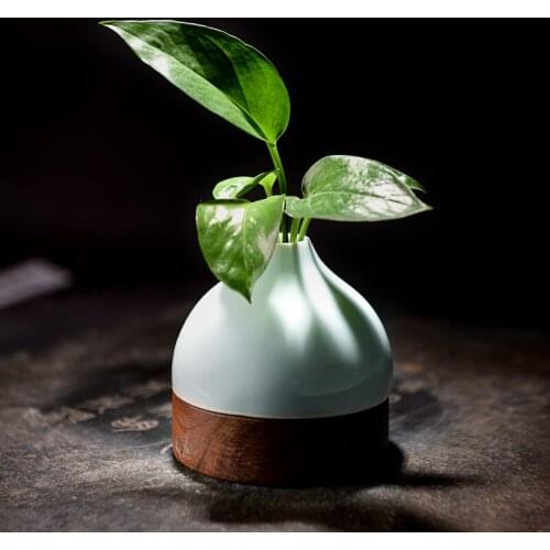 And furnishing articles home sitting room decorative flower implement home money plant water bottle arranging flowers