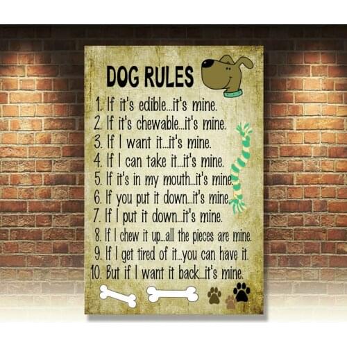 Dog Rules Novelty Funny Metal Sign 9 By 12 Inches