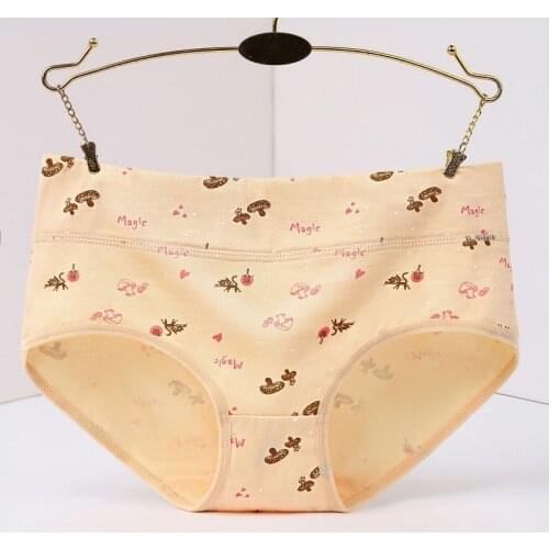 NEW Cotton Underwear Women Panties Briefs Sexy Panties Cueca Calcinhas Shorts Transparent Underpants Abdominal Panty Lady M-4XL