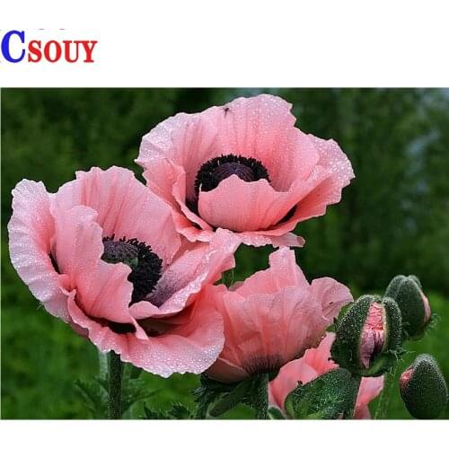 5D DIY Diamond Painting Poppy Flowers Diamond Mosaic Drawing Full Square Round Drill Diamond Embroidery Cross Stitch Home Decor