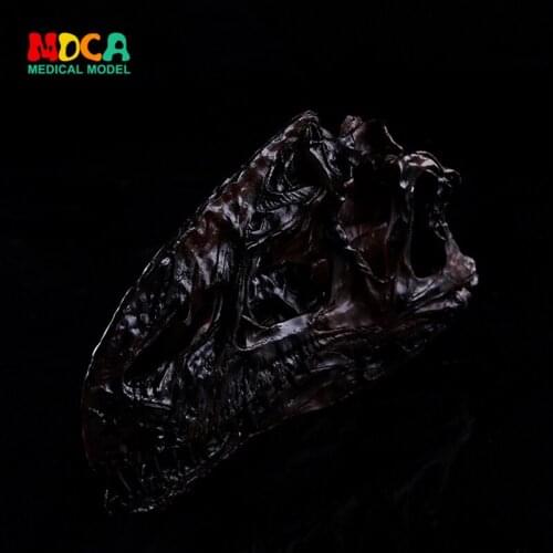 Resin dinosaur skull Ice Dragon Dragon Skull KLGT020