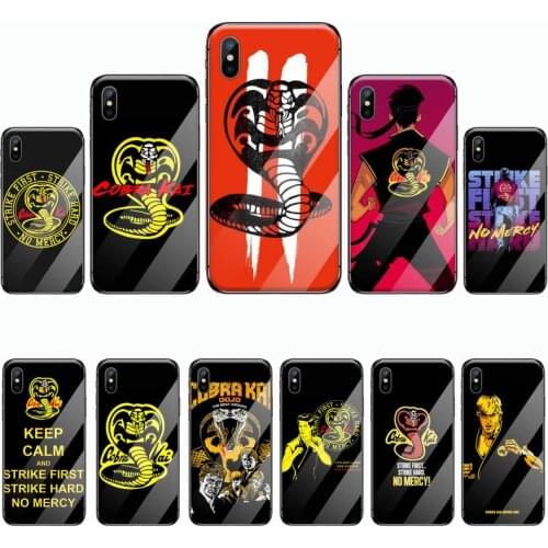 Cobra Kai Season 2 Phone Case Tempered glass For iphone 5C 6 6S 7 8 plus X XS XR 11 PRO MAX