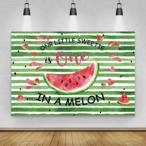 Summer Cool Watermelon Newborn Photo Backgrounds Family Celebrating Baby Coming Kids Fruit Party Decor Backdrops Customize