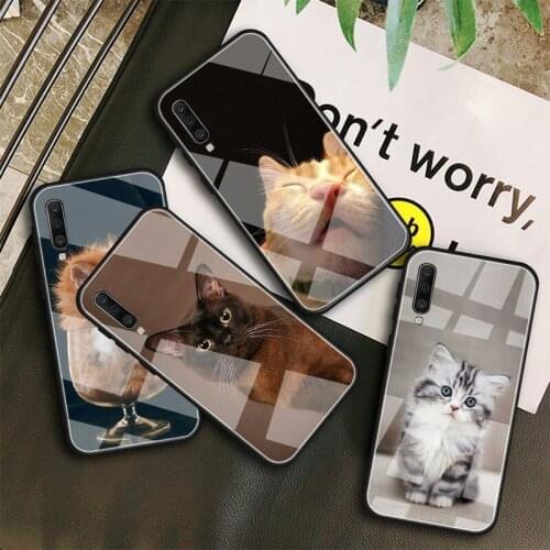 Funny Cat Tempered Glass Case For Samsung Galaxy A10S A10E A20S A20E A30S A40 A50S A60 A70 A80 A90 A6 A7 A8 Shell