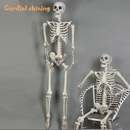 Cordial Shining Festivel Haunted Scenery Halloween Props Terrorist 170cm Skeleton Plastic Skull Bone Body Chamber of Decoration