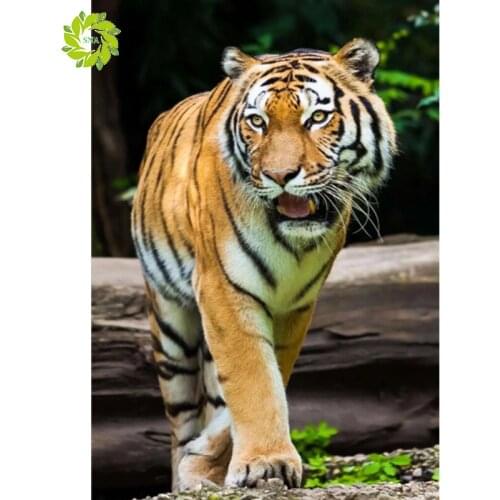 DIY Diamond Painting Full Square Round Drill Embroidery"Animal"picture Diamond Mosaic Cross Stitch Home Decor Gifts