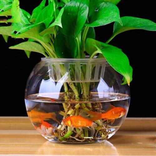 8pcs/pack Diameter=15cm Big Size Flat Mouth Glass Terrarium Fishbowl Glass Aquarium Home Decorative Glass Terrarium Vase