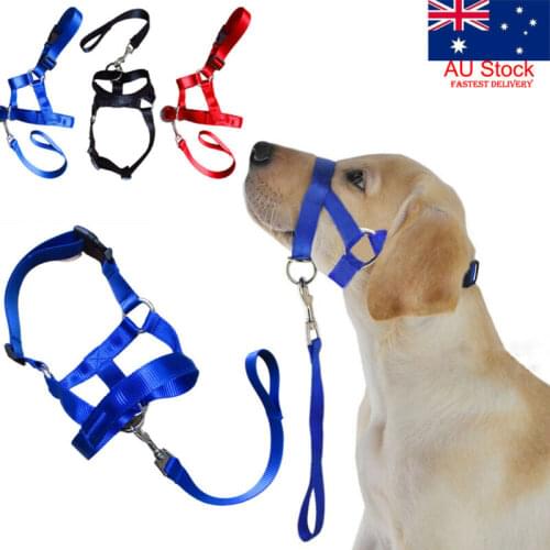 2020 Creative Dog Halter Halti Training Head Collar Gentle Leader Harness Nylon Breakaway All Seasons Usefull Harnesses Lead hot