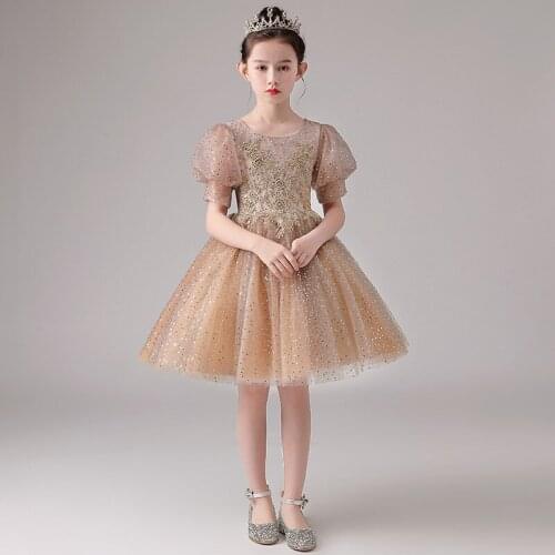 Baby Kids Sweet Elegant Embroidery Lace Birthday Wedding Party Princess Ball Gown Dress Little Grls Luxury Piano Host Dress Wear