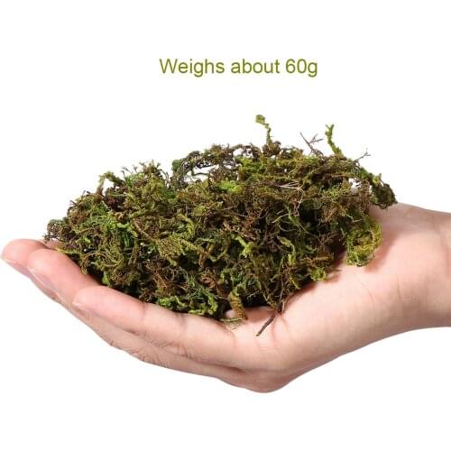 1 Bag Artificial Simulated Keep Dry Green Moss Plant Lawn Decor for Fairy Gardens Floral Project Arts Crafts