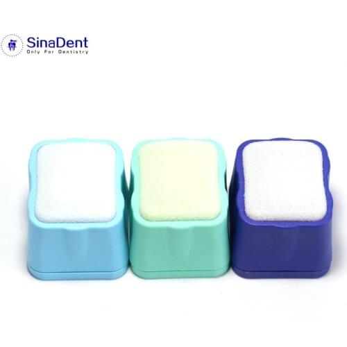 1Pcs Dental Endo Cleaning Stand Random Color for Cleaning Endodontic Files Autoclavable Plastic With Replacement Sponge