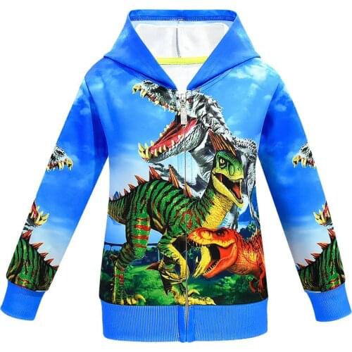 Boys Dinosaur Clothes Fall Teen Kids Animal Hoodies Fall Roupa Infantil Toddler Boy Costumes Casaco Menino Sweatshirt Clothing