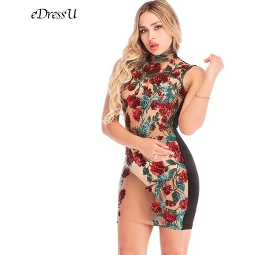 Sexy Lace Embroidery Dress Women Turtleneck Sexy Through Dress Black Burgundy Club Party Dress Tulle Lace Nightclub HLT-8231