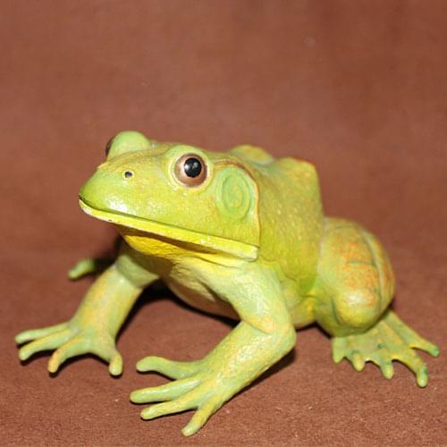 Soft plastic pvc figure Amphibian plastic ornaments adult frog bullfrog