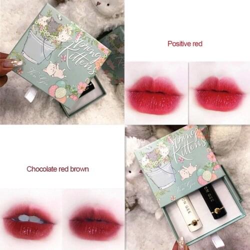 Silky Lipstick Makeup Set With Box Matte Velvet Lip Gloss Longlasting Non-stick Cup Nude Lip Tint Cosmetic For Women TSLM2