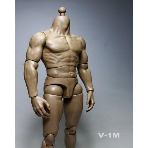 1/6 Scale Nude Muscular Male Body Action Figure Without Head Sculpt for 1:6 Male Head Sculpt