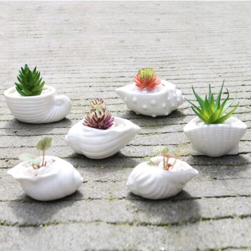 6pcs/set Mini White Small Flowerpot shell Shape Ceramic Succulent Plant Pot Holder Fairy Garden Cactus Flower Pots Planter Home